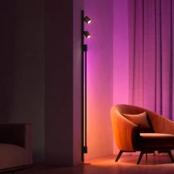 Philips Hue Perifo, Two Spots, Black Gradient Tube