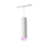 Philips Hue Perifo LED Pendant Extension, White -Philips Hue Shop 10003043