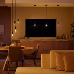 Philips Hue White E27 7 W Filament Bulb ST72 550lm 11 Philips Hue White E27 7 W Filament Bulb ST72 550lm -Philips Hue Shop 10005174 2