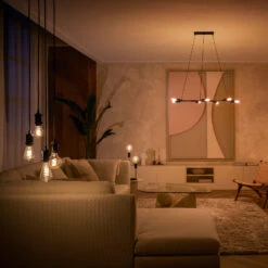 Philips Hue White E27 7 W Filament Bulb A60 550 lm -Philips Hue Shop 10014064 4