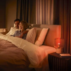 Philips Hue White&Color Ambiance E14 5.1 W 470 Lm -Philips Hue Shop 10015470 8