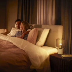 Philips Hue White Ambiance E14 5.1 W 470 lm 2-pack -Philips Hue Shop 10015471 7