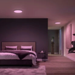 Philips Hue White&Color Surimu Panel White Ø39.5cm -Philips Hue Shop 10015475 5