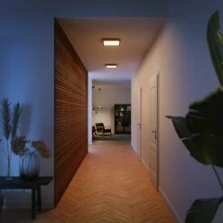 Philips Hue White Ambiance Aurelle 30x30cm Black 15 Philips Hue White Ambiance Aurelle 30x30cm Black -Philips Hue Shop 10015476 6