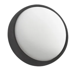 Philips Hue Eagle Outdoor LED Garden Wall Light Black 3W 270lm