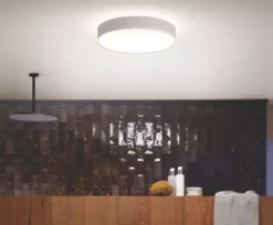 Philips Hue Ambiance Devere LED Medium Ceiling Light White 19.2W 2450lm -Philips Hue Shop 156PY A2