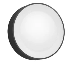 Philips Hue Daylo Outdoor LED Wall Light Black 15W 1060lm