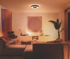 Philips Hue Infuse RGB & White LED Ceiling Light Black 52.5W 3700lm -Philips Hue Shop 240RT A2