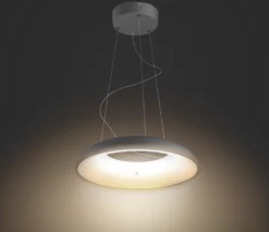 Philips Hue Ambiance Amaze LED Suspension Light Black 25W 2750-2900lm -Philips Hue Shop 579RK A2