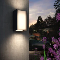 Philips Hue Turaco LED Outdoor Wall Light 11 Philips Hue Turaco LED Outdoor Wall Light -Philips Hue Shop 7534045 2