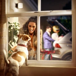 Philips Hue Lucca LED Outdoor Wall Lamp -Philips Hue Shop 7534048 6