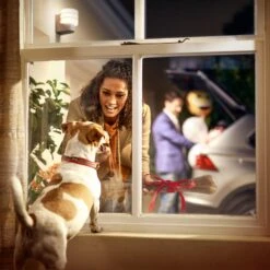 Philips Hue Tuar LED Outdoor Wall Light -Philips Hue Shop 7534051 2