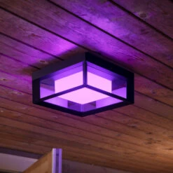 Philips Hue White+Color Econic Wall Light, Angular -Philips Hue Shop 7534116 5