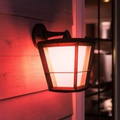Philips Hue White+Color Econic Wall Light, Under -Philips Hue Shop 7534118 3