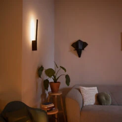 Philips Hue Liane LED Wall Light, RGBW, Black -Philips Hue Shop 7534154 7