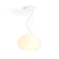 Philips Hue Flourish LED Hanging Light, RGBW -Philips Hue Shop 7534157 4