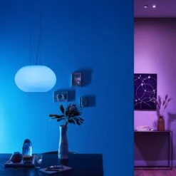 Philips Hue Flourish LED Hanging Light, RGBW -Philips Hue Shop 7534157 8