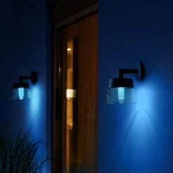 Philips Hue White + Colour Attract LED Wall Light -Philips Hue Shop 7534176 4
