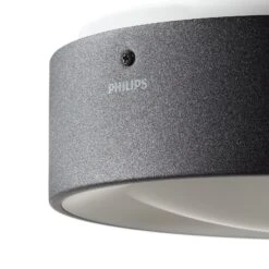 Philips Hue WACA Daylo Outdoor Wall Light Black -Philips Hue Shop 7534181 4
