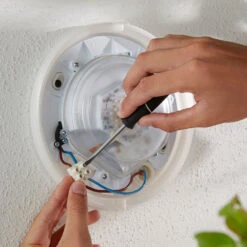 Philips Hue WACA Daylo Outdoor Wall Light Black -Philips Hue Shop 7534181 8