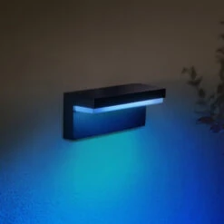 Philips Hue WACA Nyro LED Outdoor Wall Light Black -Philips Hue Shop 7534183 4