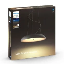 Philips Hue White Ambiance Amaze, Black -Philips Hue Shop 7534191 8