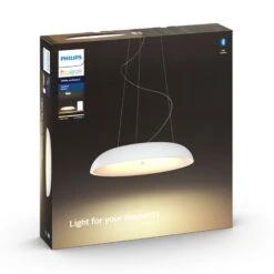 Philips Hue White Ambiance Amaze Hanging, White -Philips Hue Shop 7534192 4