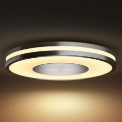 Philips Hue White Ambiance Being Ceiling Lamp Alu