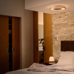 Philips Hue White Ambiance Being Ceiling Lamp Alu 14 Philips Hue White Ambiance Being Ceiling Lamp Alu -Philips Hue Shop 7534193 5