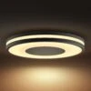 Philips Hue White Ambiance Being Ceiling Black -Philips Hue Shop 7534194