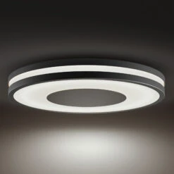 Philips Hue White Ambiance Being Ceiling Black 11 Philips Hue White Ambiance Being Ceiling Black -Philips Hue Shop 7534194 3