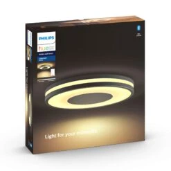 Philips Hue White Ambiance Being Ceiling Black 13 Philips Hue White Ambiance Being Ceiling Black -Philips Hue Shop 7534194 5