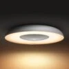 Philips Hue White Ambiance Still Ceiling Lamp Alu -Philips Hue Shop 7534203