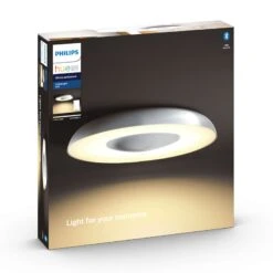 Philips Hue White Ambiance Still Ceiling Lamp Alu -Philips Hue Shop 7534203 6