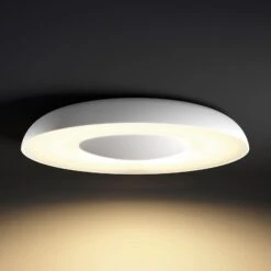 Philips Hue White Ambiance Still Ceiling White