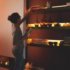 Philips Hue LightStrip Plus 1m Extension -Philips Hue Shop 7534206 2