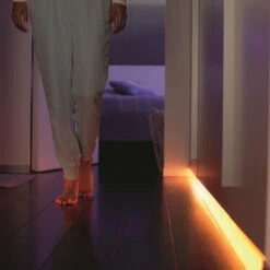 Philips Hue LightStrip Plus 1m Extension -Philips Hue Shop 7534206 4