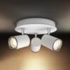Philips Hue White Ambience Adore LED Ceiling Light -Philips Hue Shop 7534213