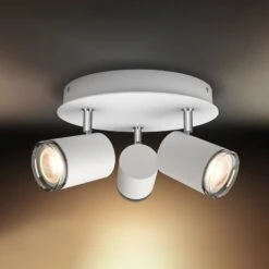 Philips Hue White Ambience Adore LED Ceiling Light