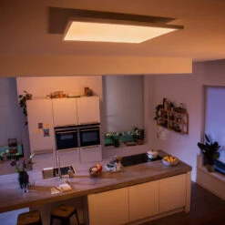 Philips Hue White Ambiance Aurelle 60x60cm White -Philips Hue Shop 7534218 3