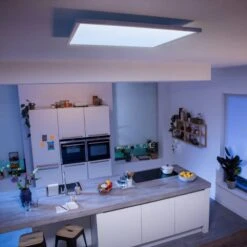 Philips Hue White Ambiance Aurelle 60x60cm White -Philips Hue Shop 7534218 4