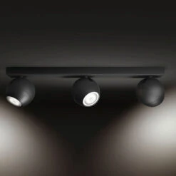 Philips Hue Buckram 3-bulb Dimmer Switch Black -Philips Hue Shop 7534226 3