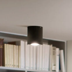 Philips Hue Pillar LED Spot Dimmer Switch, Black