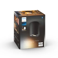 Philips Hue Pillar LED Spot Dimmer Switch, Black -Philips Hue Shop 7534235 6