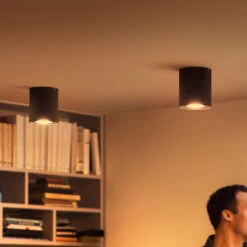 Philips Hue Pillar LED Spot Dimmer Switch, Black -Philips Hue Shop 7534235 7