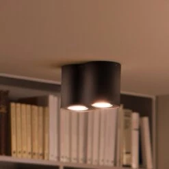 Philips Hue Pillar Spot 2-bulb Black
