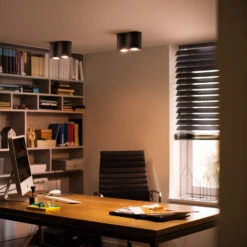 Philips Hue Pillar Spot 2-bulb Black -Philips Hue Shop 7534240 7