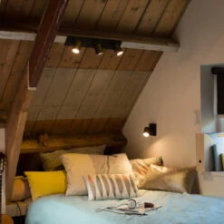 Philips Hue White Ambiance Runner Spot Black -Philips Hue Shop 7534242 7