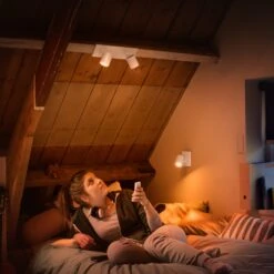 Philips Hue Runner 2 Spots Dimmer Switch White -Philips Hue Shop 7534246 8