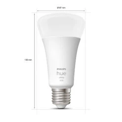 Philips Hue White E27 15.5 W A67 LED Bulb 2,700 K -Philips Hue Shop 7534263 2